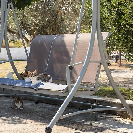 Apartment Dimitris &