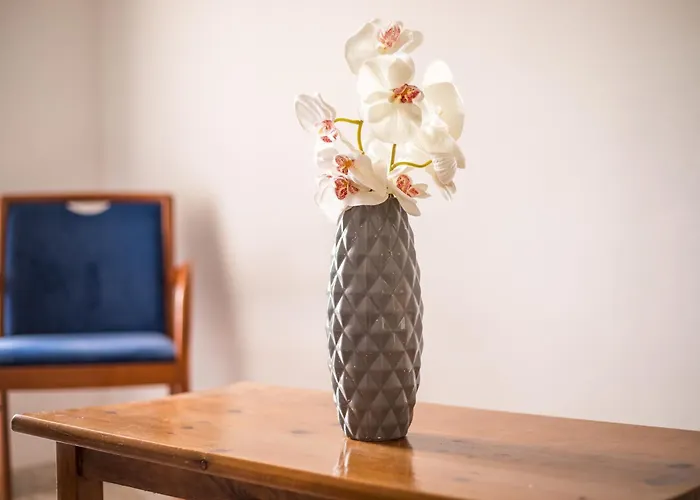 Dimitris & * ファリラキ